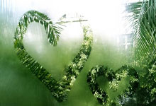 天涯论坛小月月事件：一场被围观的网络狂欢